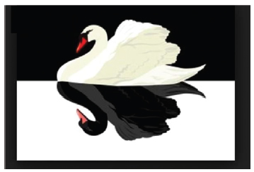 medaljevinder undergrundsbane Velkommen The black swan image in medicine