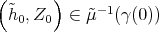 ( ) ˜h ,Z ∈ ˜μ -1(γ(0)) 0 0 
